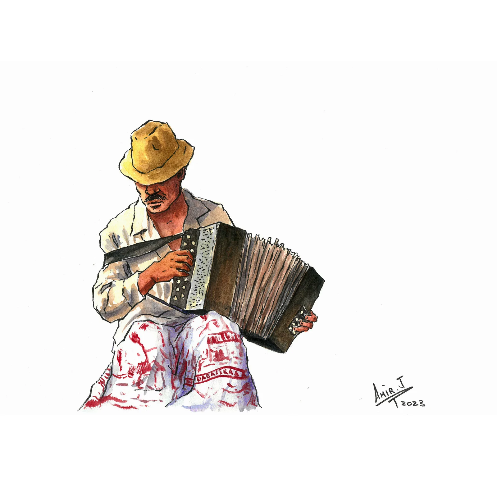 Accordion Player