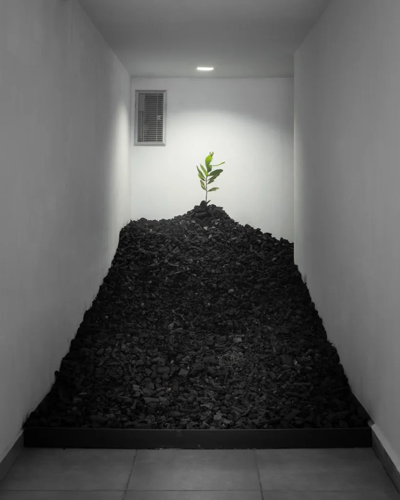 Amir.J Autoportrait dune renaissance Post 001