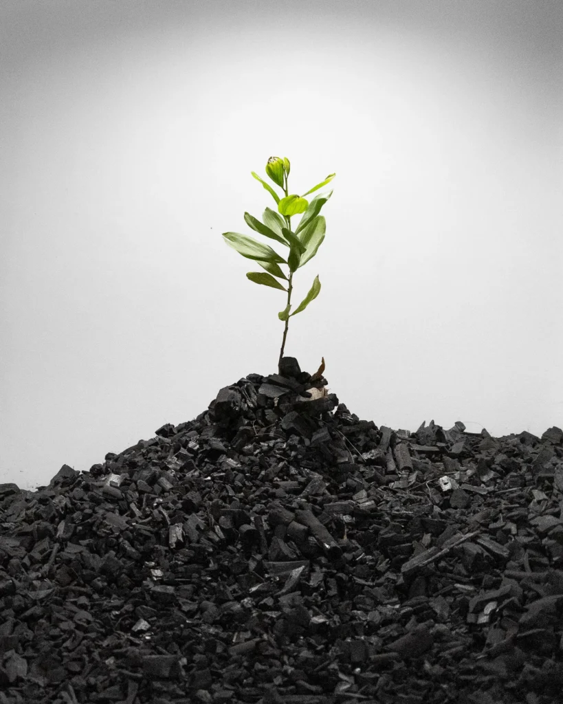 Amir.J Autoportrait dune renaissance Post 003