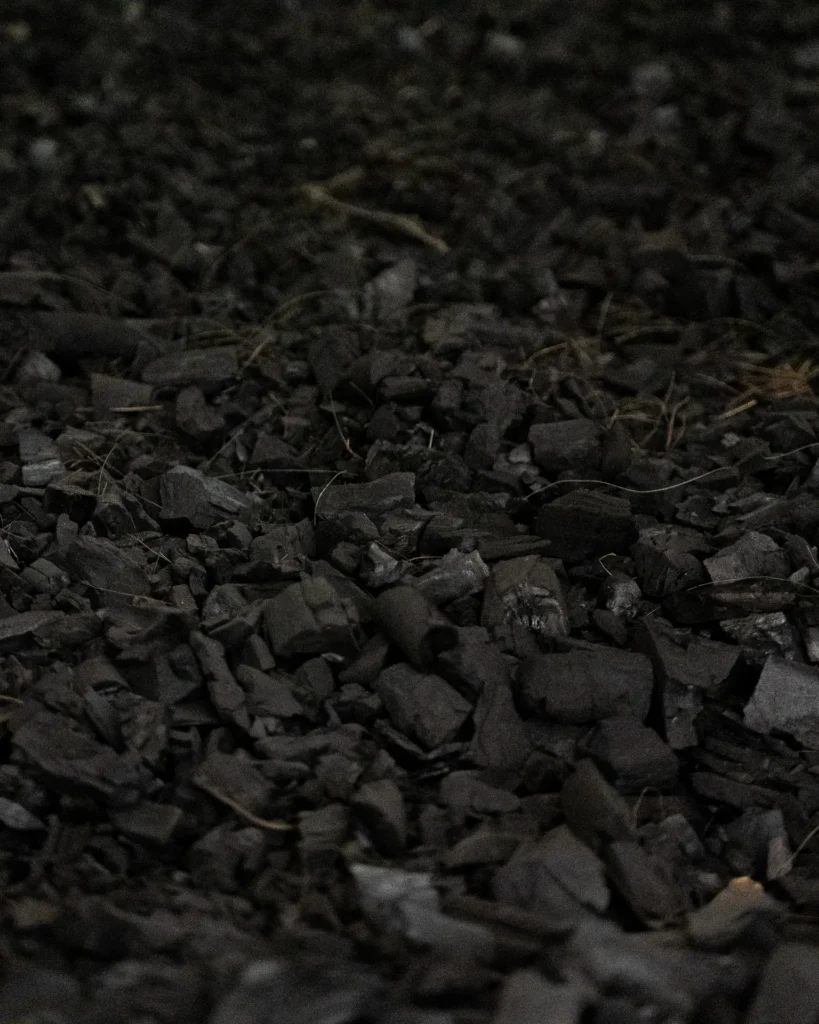 Amir.J Autoportrait dune renaissance Post 004