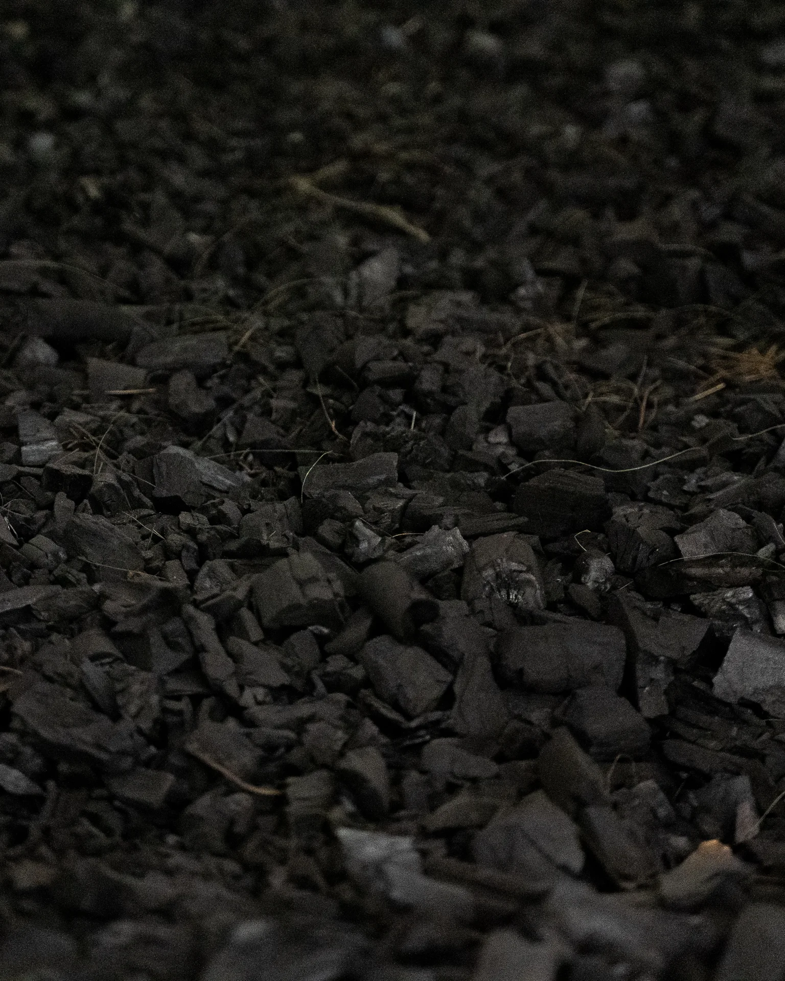 Amir.J Autoportrait dune renaissance Post 004