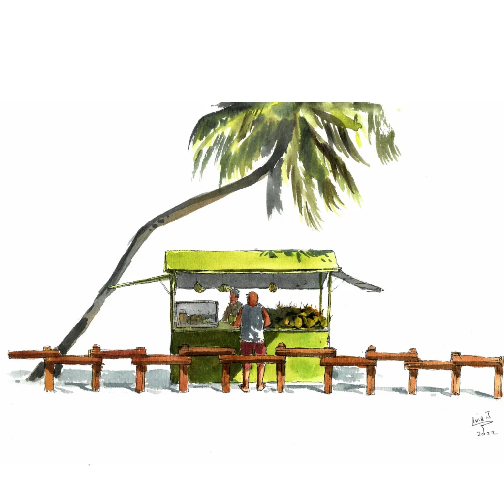 Coconut vendor