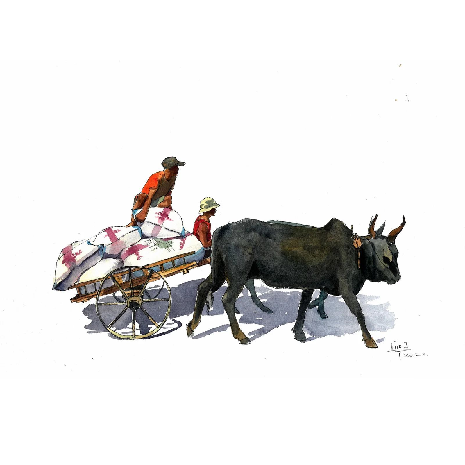 Zebu cart 01